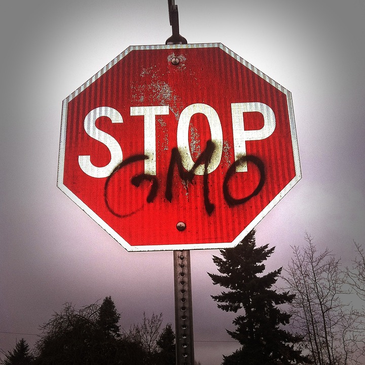 Роспотребнадзор возбудил дело в отношении «Нестле Россия» после обнаружения ГМО в каше “Быстров”